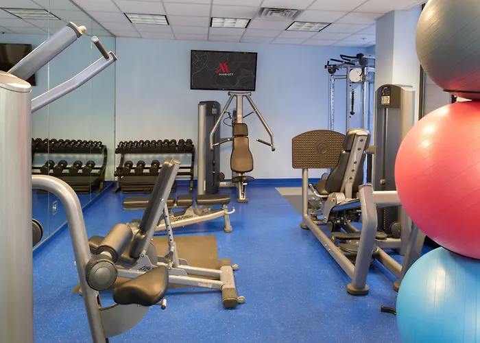 Chicago Marriott O'hare Hotel 3*